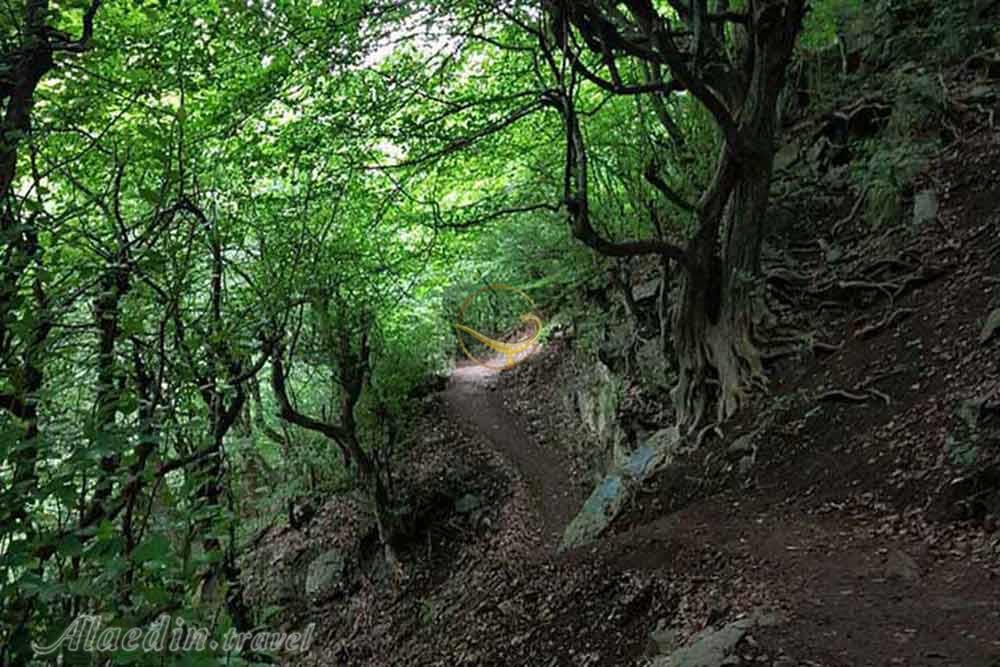 ییلاق آغوزحال تنکابن | علاءالدین تراول