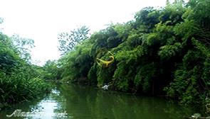 مرداب نشتارود تنکابن