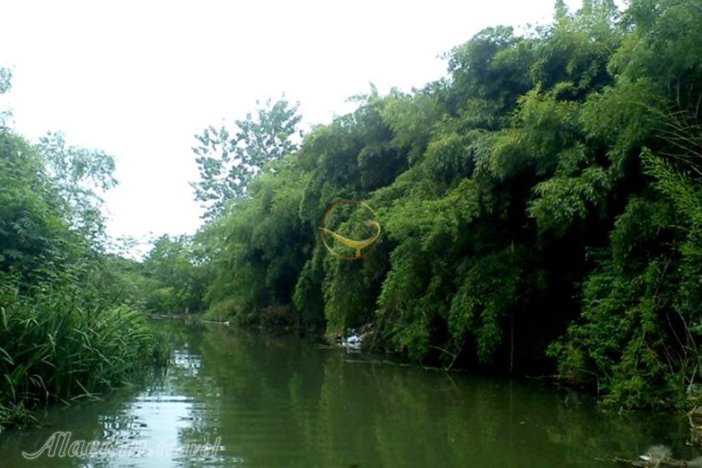 مرداب نشتارود تنکابن | علاءالدین تراول