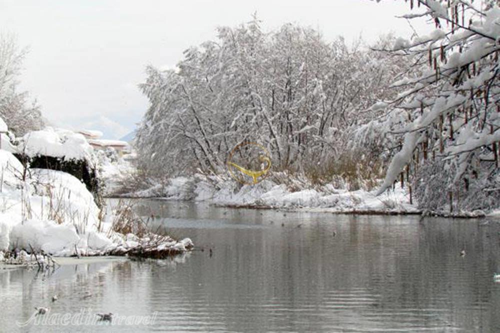 مرداب نشتارود تنکابن | علاءالدین تراول