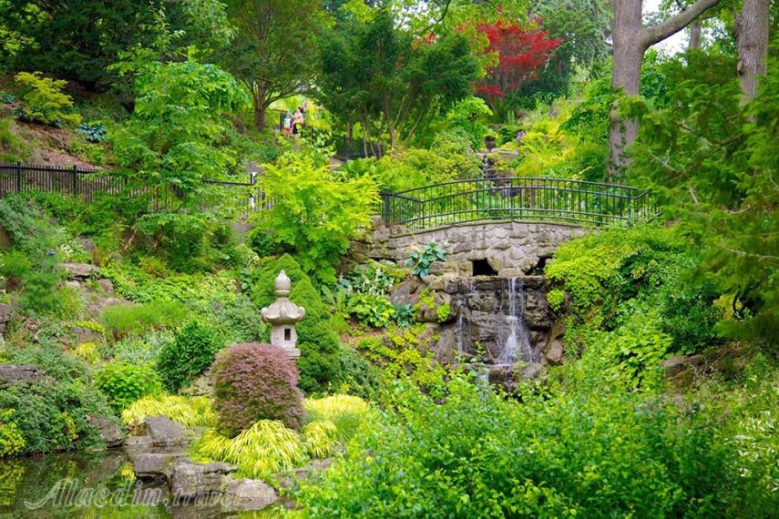 های پارک تورنتو - کانادا