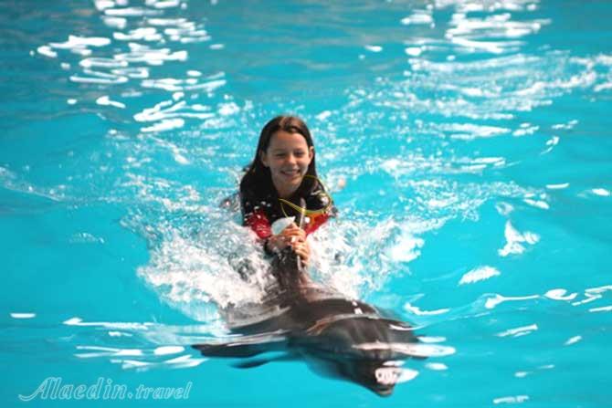 دلفیناریوم وارنا - بلغارستان