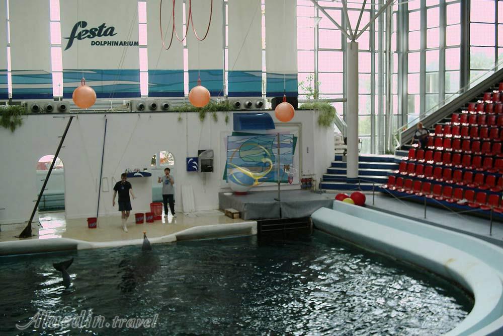 دلفیناریوم وارنا - بلغارستان | علاءالدین تراول