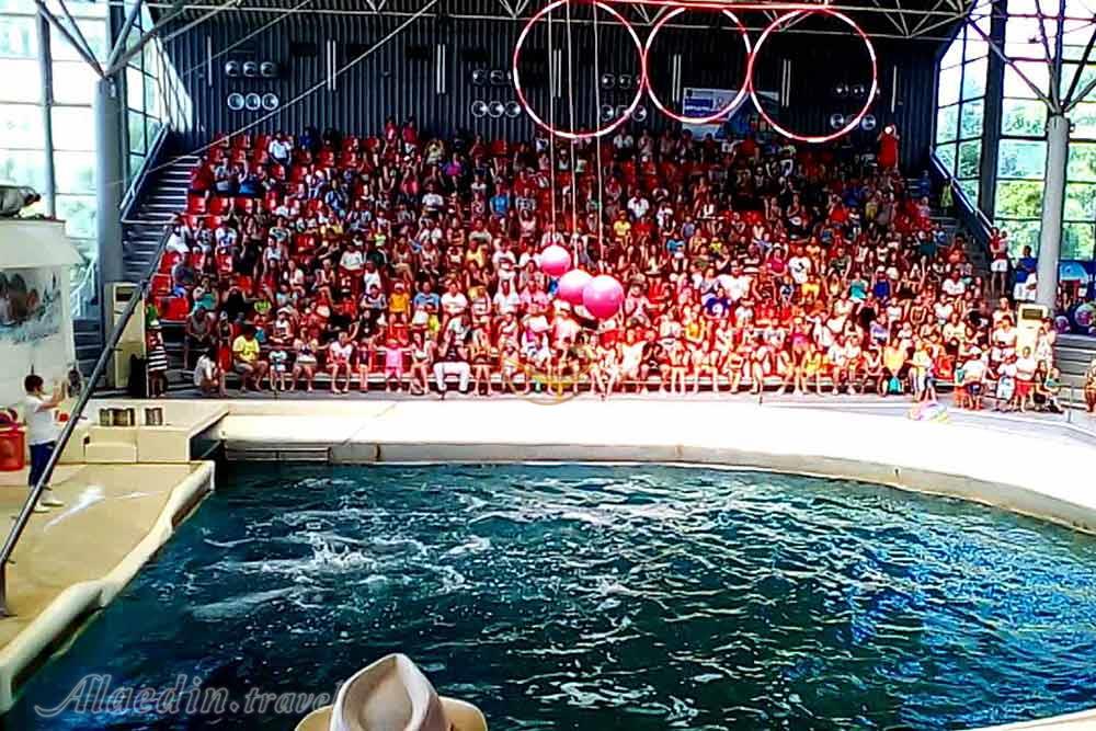 دلفیناریوم وارنا - بلغارستان | علاءالدین تراول