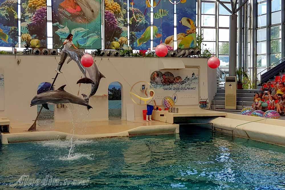 دلفیناریوم وارنا - بلغارستان | علاءالدین تراول