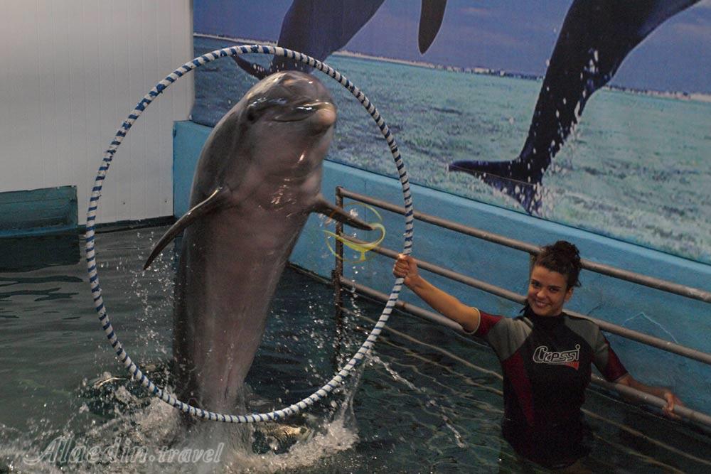 دلفیناریوم وارنا - بلغارستان | علاءالدین تراول