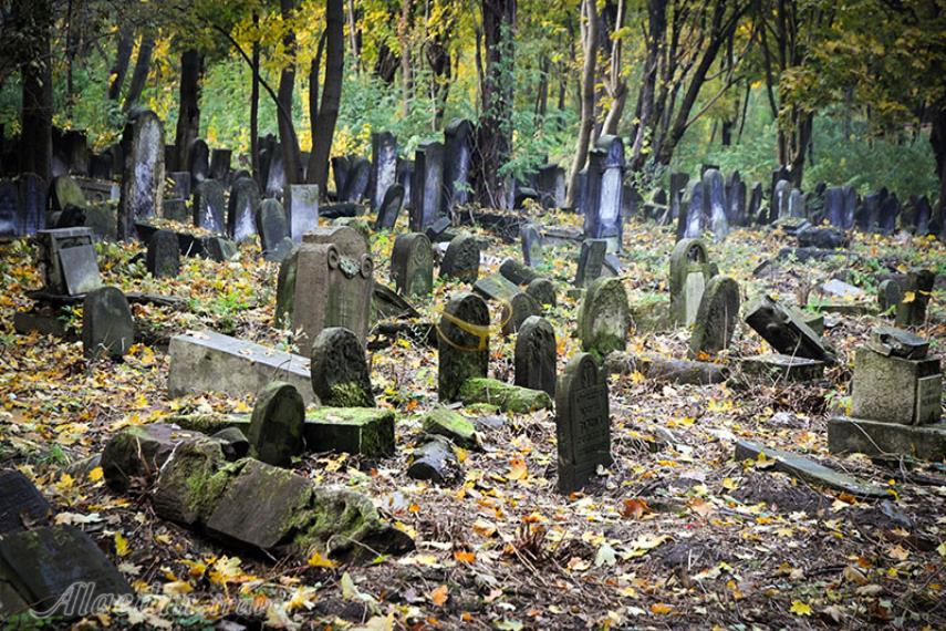 قبرستان یهودیان ورشو | علاءالدین تراول