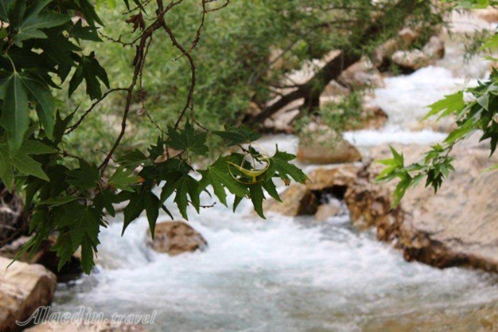 تنگ مهریان یاسوج | علاءالدین تراول