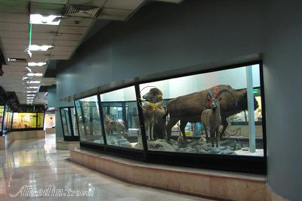 موزه مردم شناسی یاسوج | علاءالدین تراول