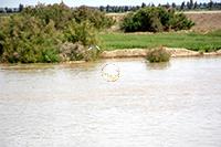 رود هیرمند زابل