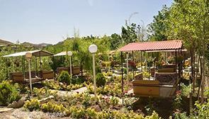 باغ خانواده زاهدان