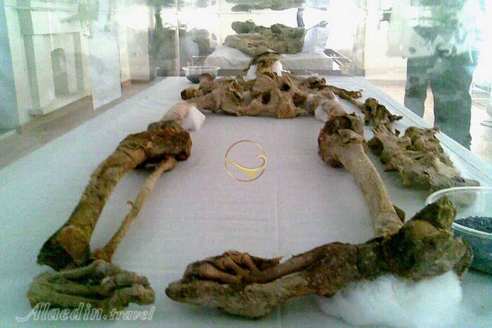 موزه مردان نمکی | علاءالدین تراول