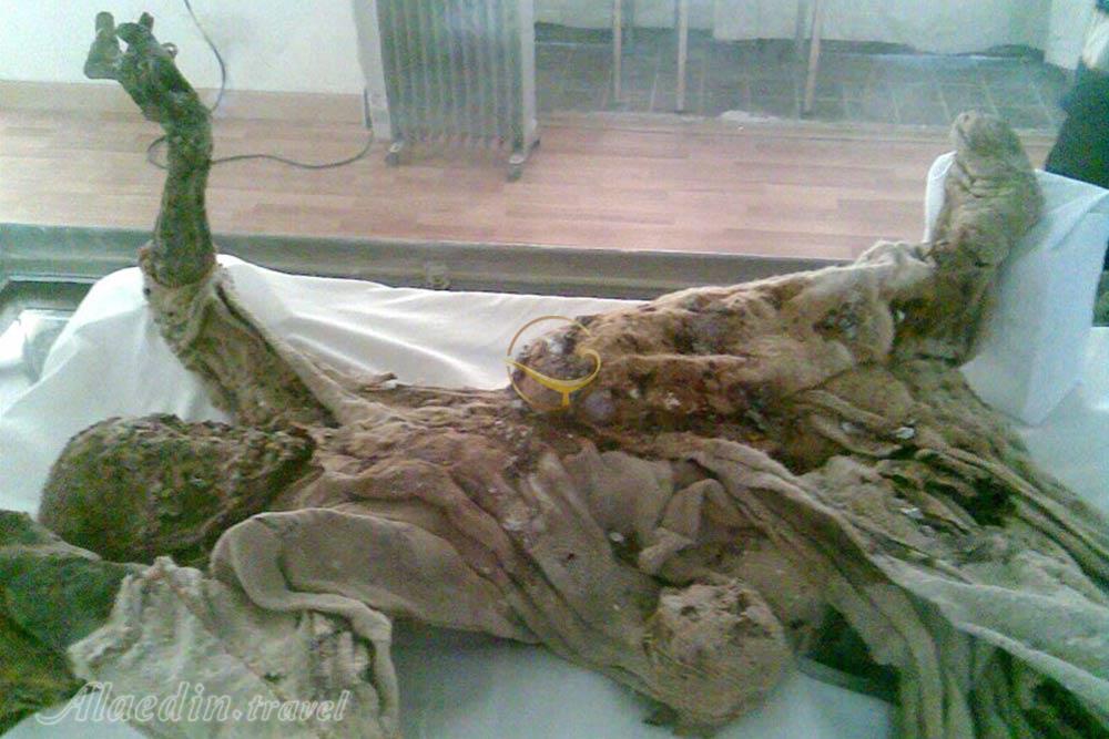 موزه مردان نمکی | علاءالدین تراول