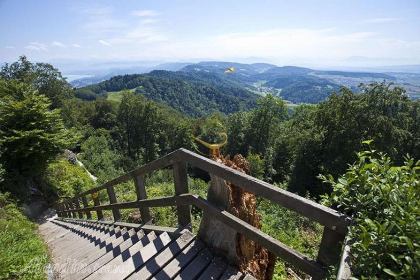 کوه اوتلی‌برگ در زوریخ | علاالدین تراول