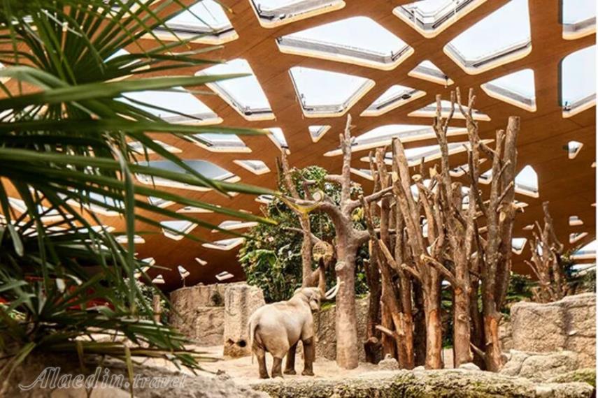 باغ وحش زوریخ | علاالدین تراول