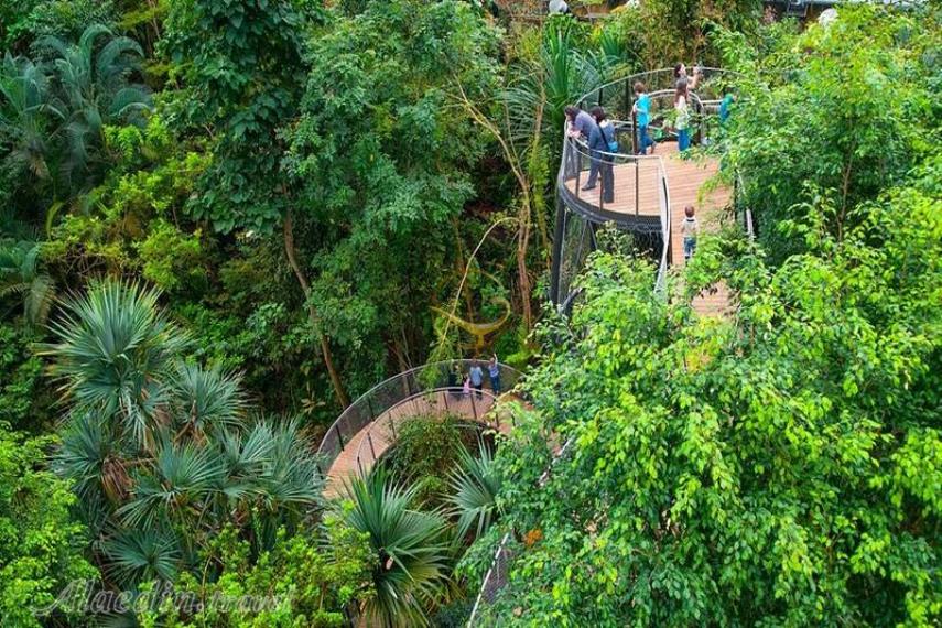 باغ وحش زوریخ | علاالدین تراول