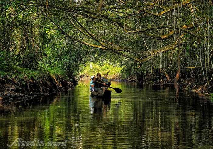 تور طبیعت گردی جنگل های آمازون و برزیل