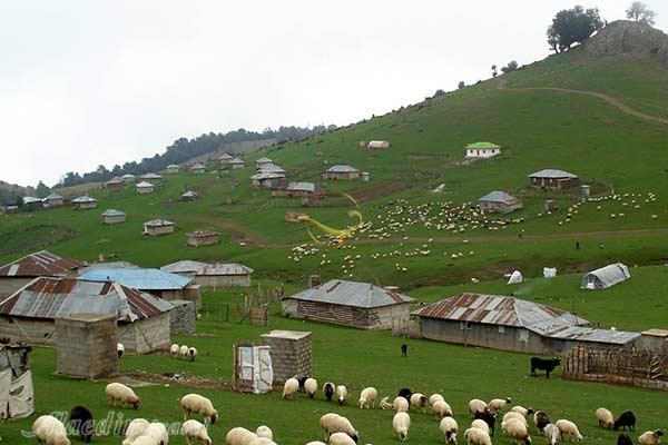 تور طبیعت گردی ارسباران