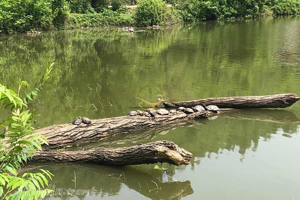 تور دریاچه عروس یک روزه | علاءالدین تراول