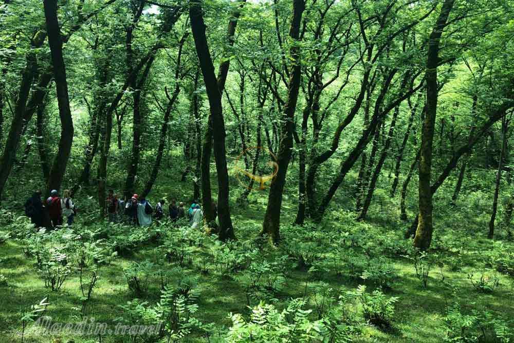 تور دریاچه عروس یک روزه | علاءالدین تراول