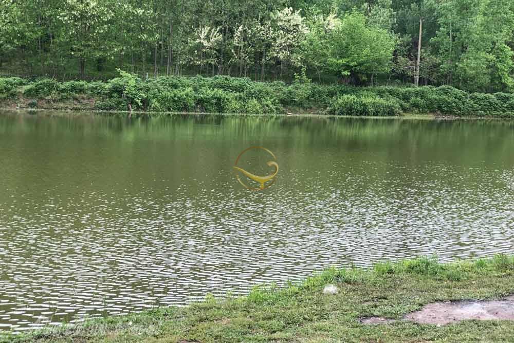 تور دریاچه عروس یک روزه | علاءالدین تراول