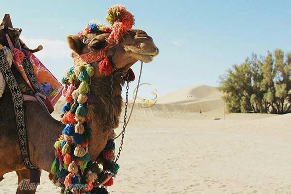 تور کویر شن و شادن بافق