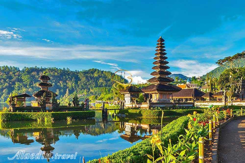 تور بالی | علاءالدین تراول