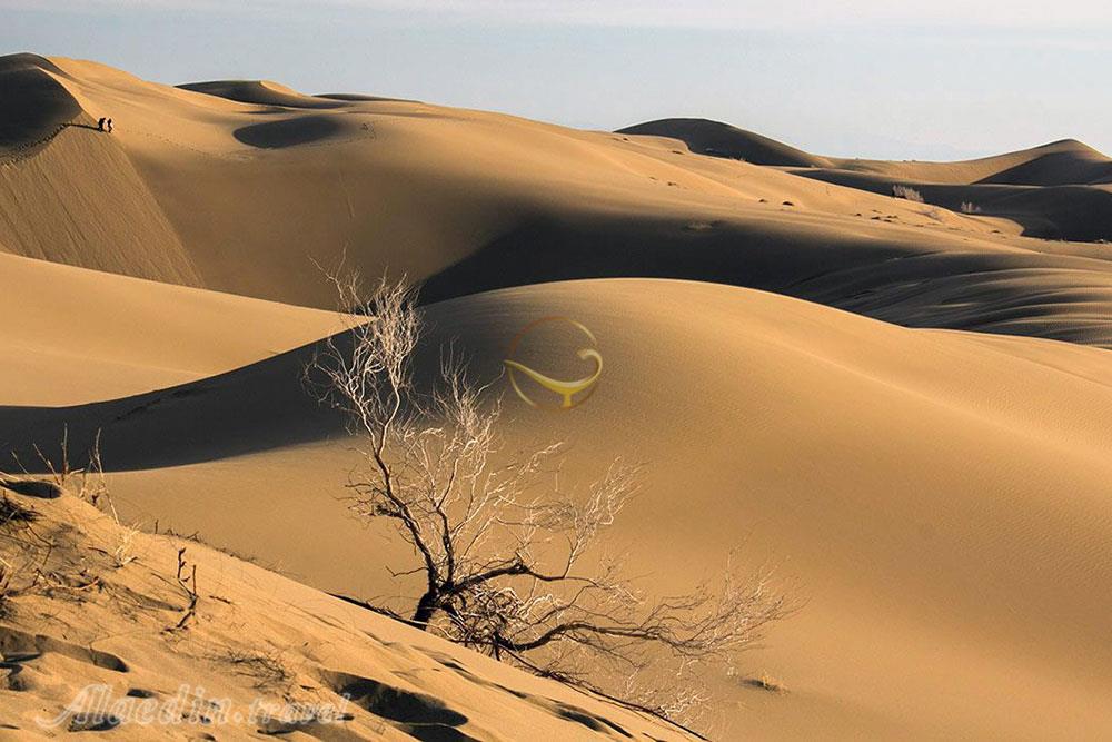 تور کویر بند ریگ؛ کاشان، ابیانه | علاءالدین تراول