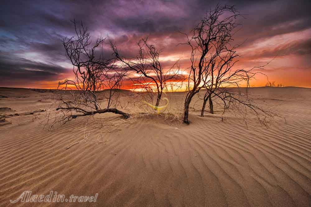 تور کویر بند ریگ؛ کاشان، ابیانه