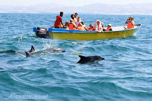 تور بندرعباس قشم