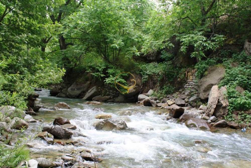 تور کردان برغان | علاءالدین تراول