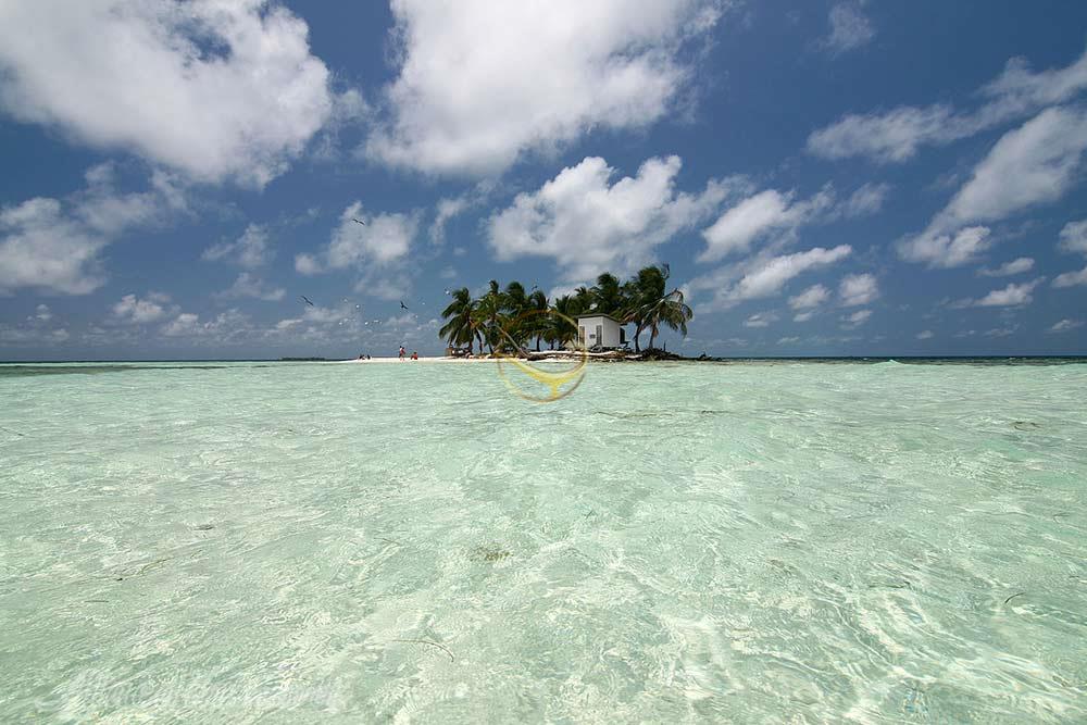 تور بلیز | علاءالدین تراول