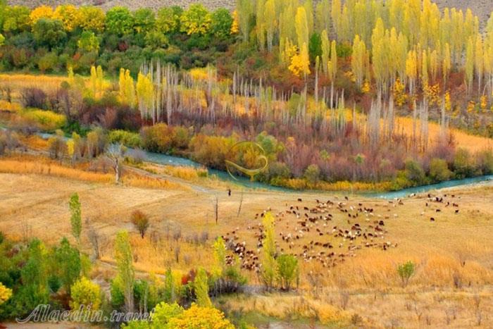 تور غار بورنیک؛ هرانده | علاءالدین تراول