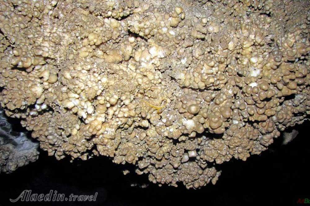 تور غار بورنیک؛ هرانده | علاءالدین تراول