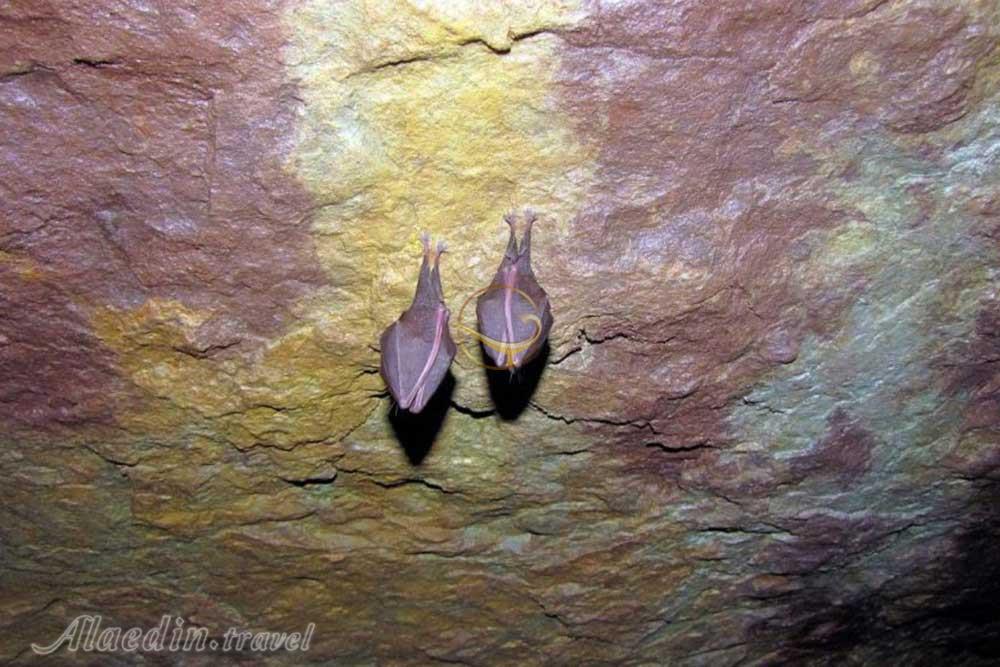 تور غار بورنیک؛ هرانده | علاءالدین تراول