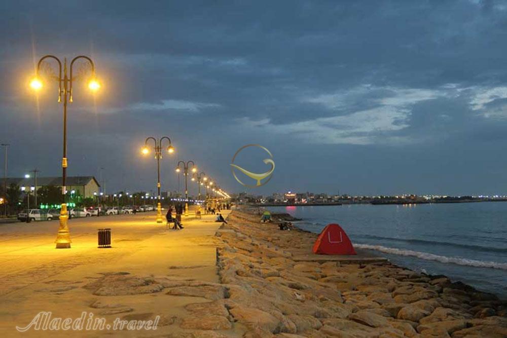 تور بوشهر | علاءالدین تراول