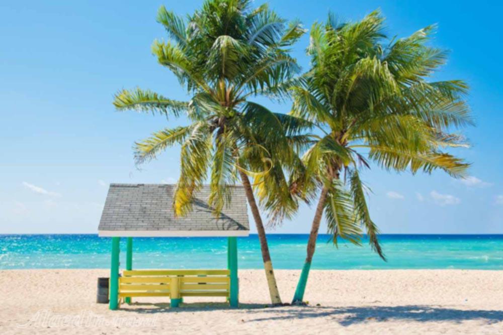 تور جزایر کیمن کارائیب | علاءالدین تراول