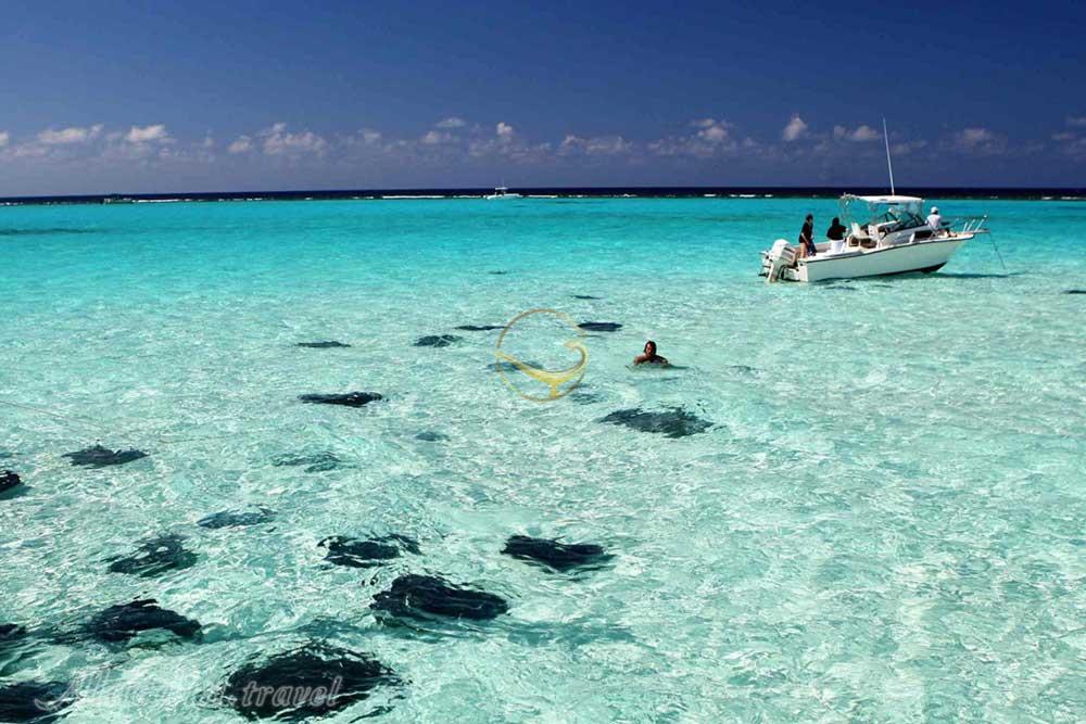 تور جزایر کیمن کارائیب | علاءالدین تراول