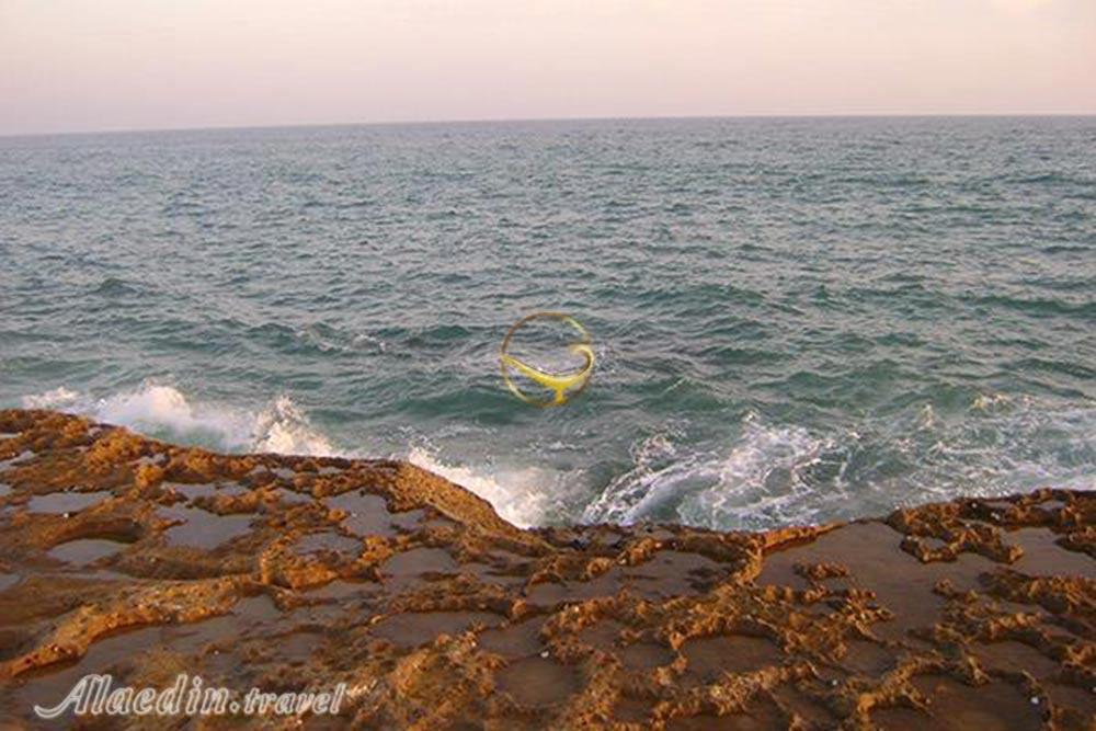 عکس های تور چابهار