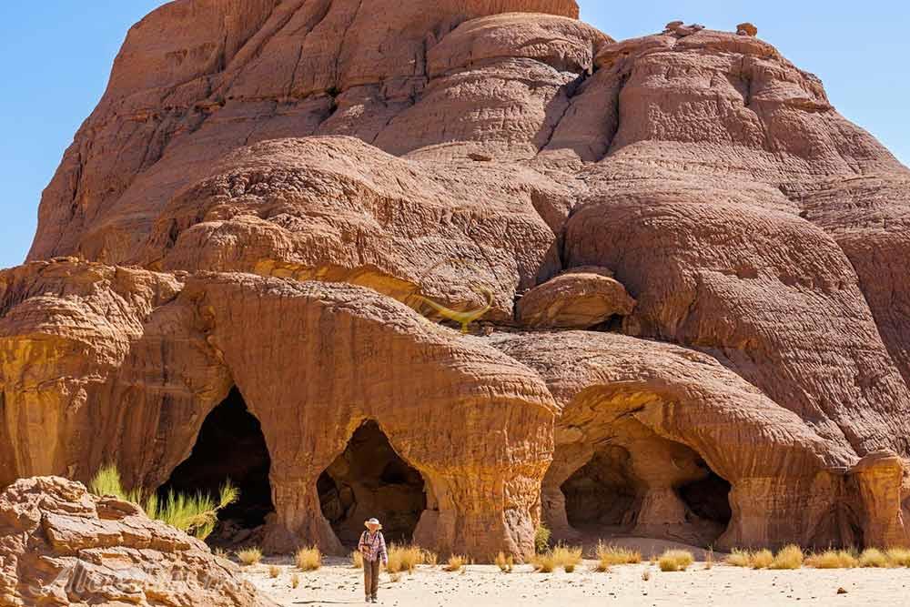 تور چاد | علاءالدین تراول