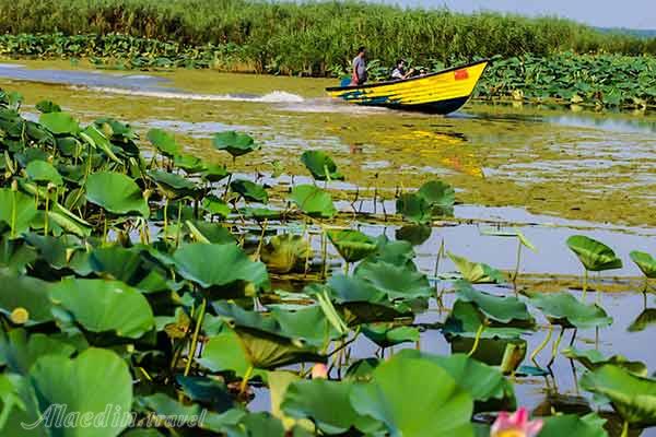 تور بندر انزلی چمخاله لاهیجان