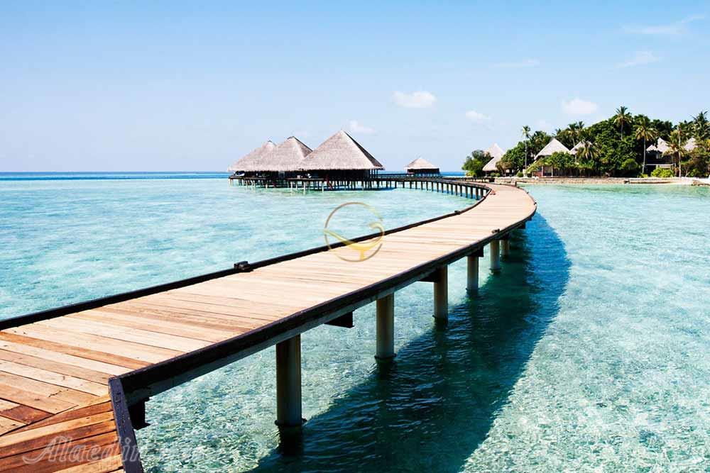 تور ساحل عاج | علاءالدین تراول