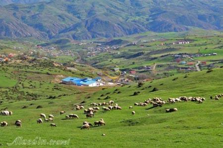 تور اکوسافاری قله درفک ییلاق دیلمان