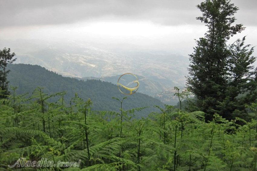 تور اکوسافاری قله درفک - ییلاق دیلمان | علاءالدین تراول