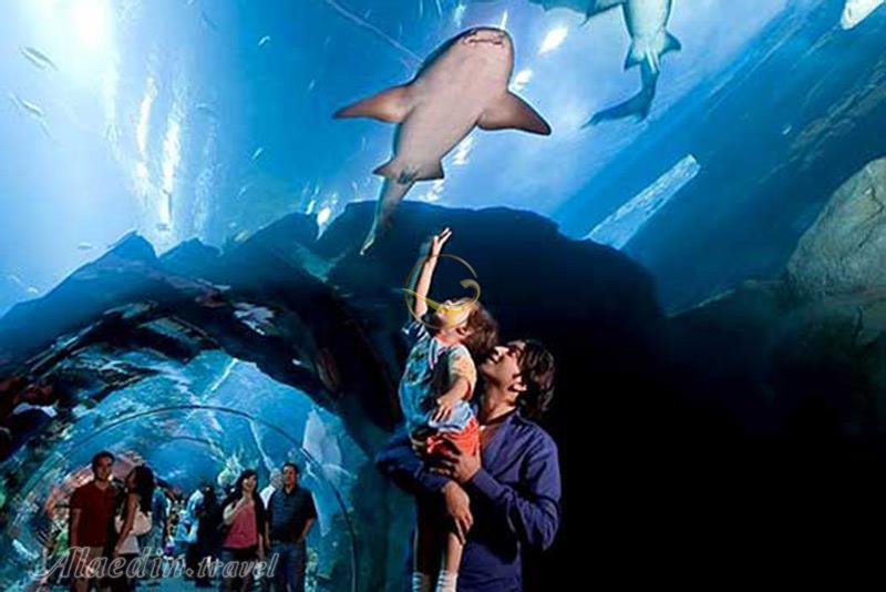 تور دبی | علاءالدین تراول