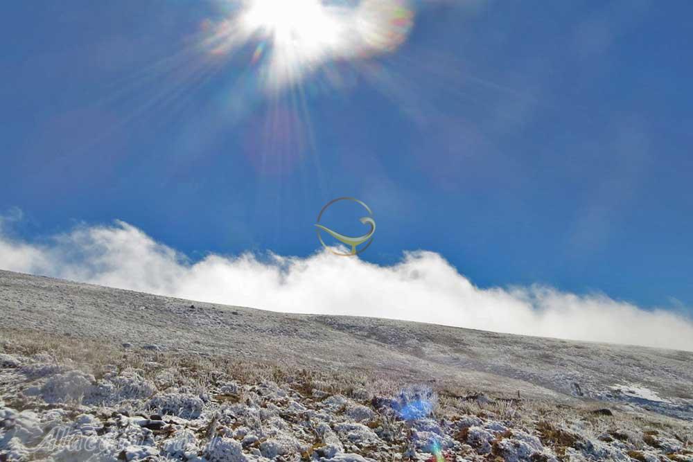 تور اکوسافاری جنگلی؛ صدای پای آب | علاءالدین