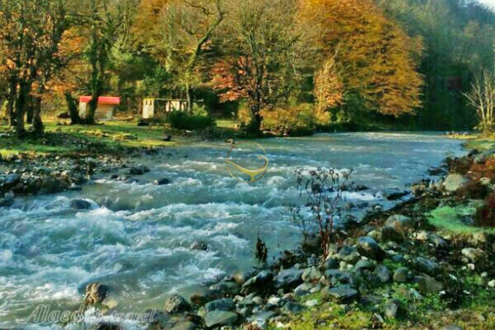 تور اکوسافاری جنگلی؛ صدای پای آب | علاءالدین