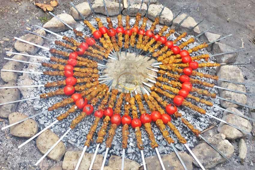 تور اکوسافاری جنگلی؛ صدای پای آب | علاءالدین