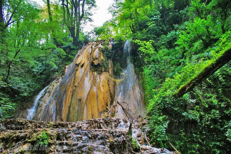 تور اکوسافاری جنگلی؛ صدای پای آب | علاءالدین