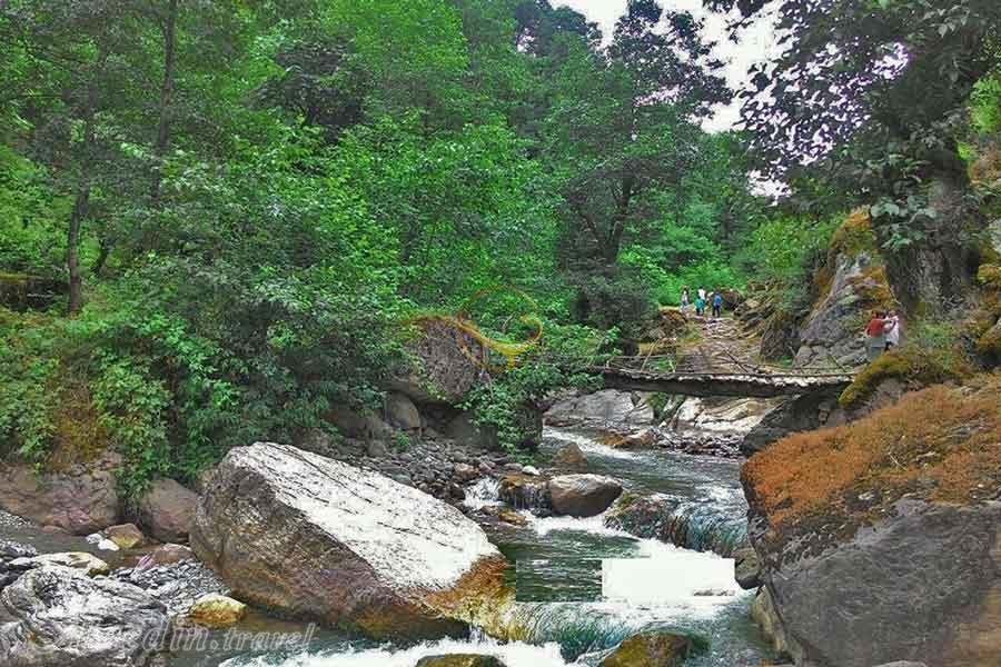 تور اکوسافاری جنگلی؛ صدای پای آب | علاءالدین